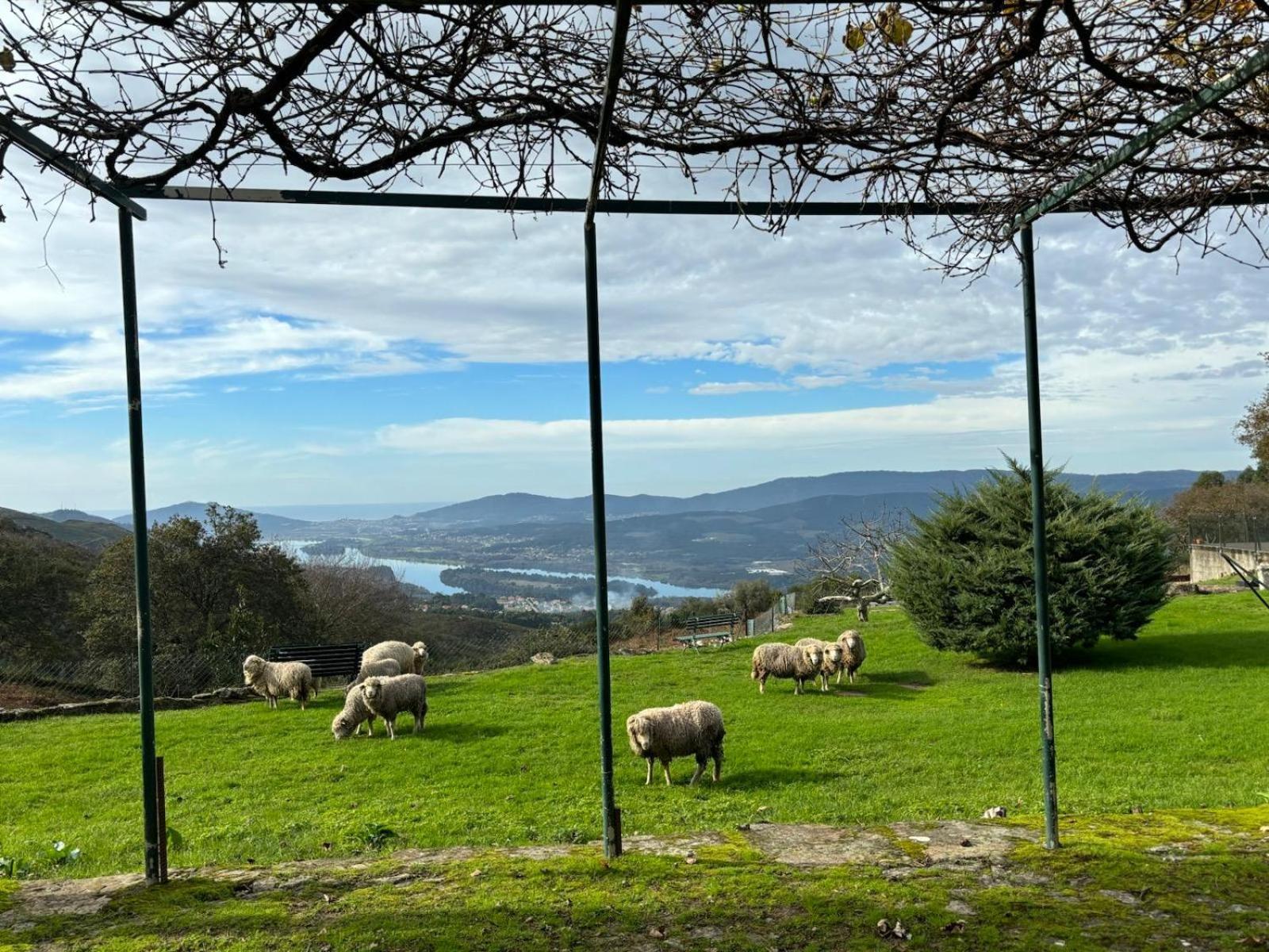Villa Convento San Payo Vila Nova de Cerveira Esterno foto